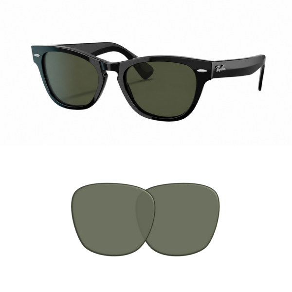 Compatible Ray-Ban 2201 LARAMIE Replacement Lenses